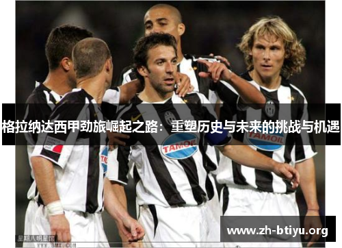格拉纳达西甲劲旅崛起之路:重塑历史与未来的挑战与机遇 格拉纳达西甲劲旅崛起之路:重塑历史与未来的挑战与机遇