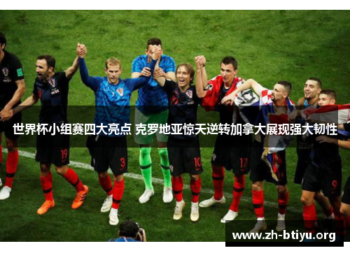 世界杯小组赛四大亮点 克罗地亚惊天逆转加拿大展现强大韧性 世界杯小组赛四大亮点 克罗地亚惊天逆转加拿大展现强大韧性