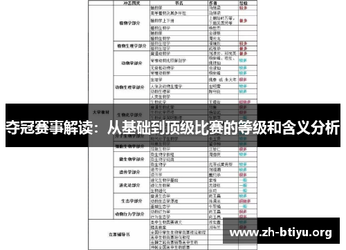 夺冠赛事解读:从基础到顶级比赛的等级和含义分析 夺冠赛事解读:从基础到顶级比赛的等级和含义分析