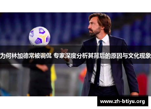 为何林加德常被调侃 专家深度分析其背后的原因与文化现象 为何林加德常被调侃 专家深度分析其背后的原因与文化现象